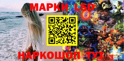 гидропоника Владимир
