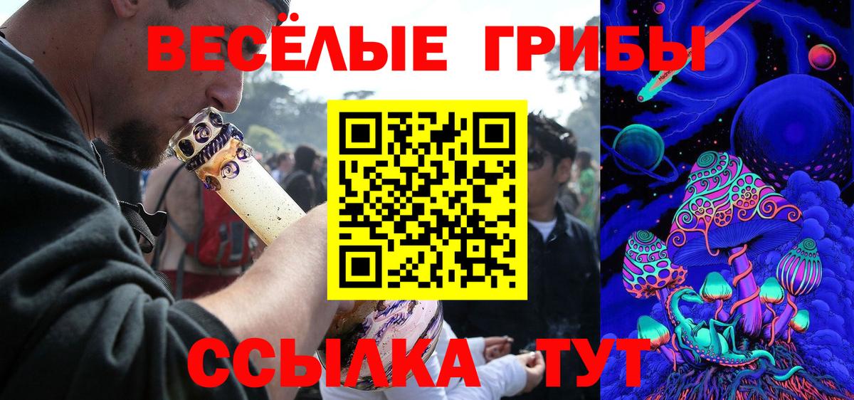 Галлюциногенные грибы Psilocybine cubensis  Вход с VPN  Гудермес 