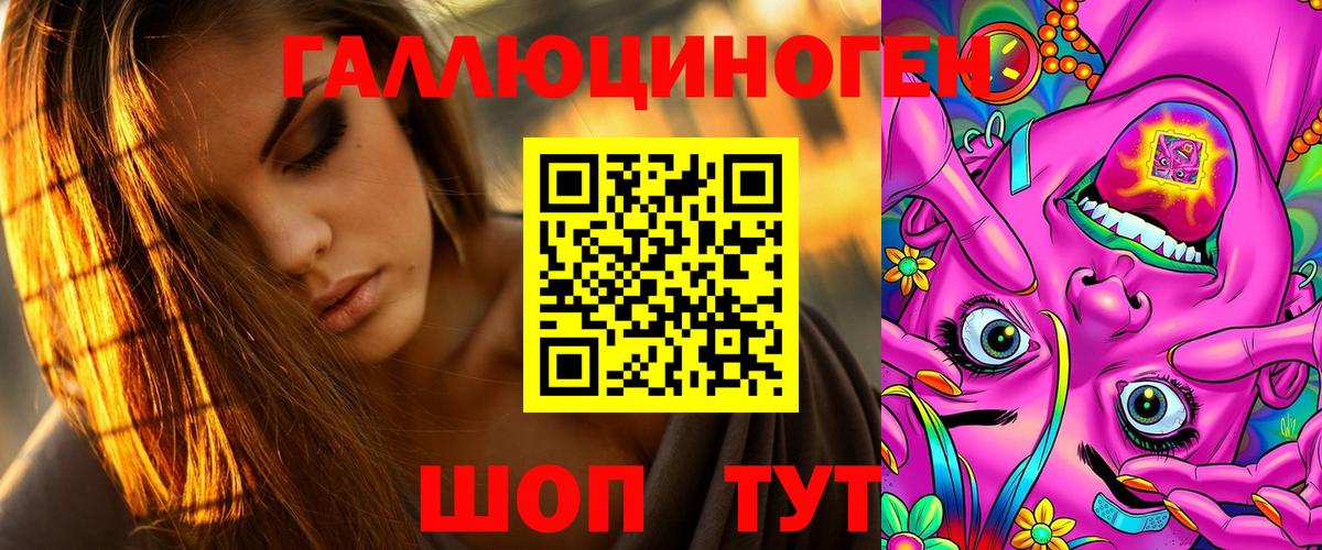 Галлюциногенные грибы Psilocybe Гудермес